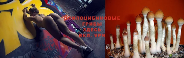 герыч Верхний Тагил