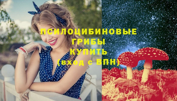 герыч Верхний Тагил