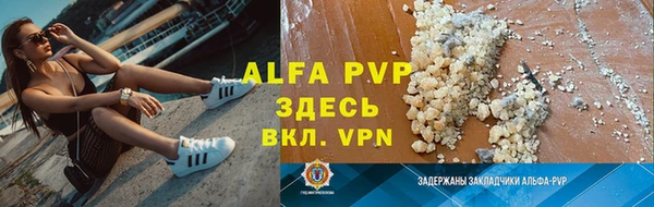 СК Верея