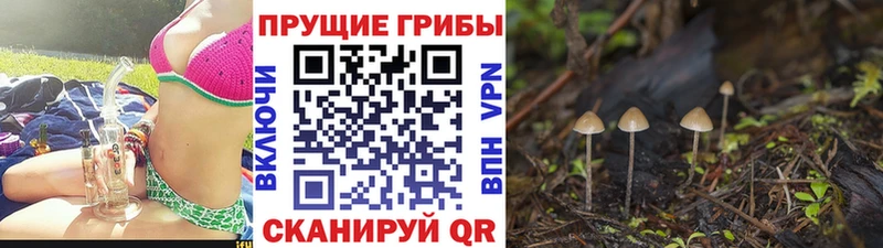 Галлюциногенные грибы Magic Shrooms  Камешково 
